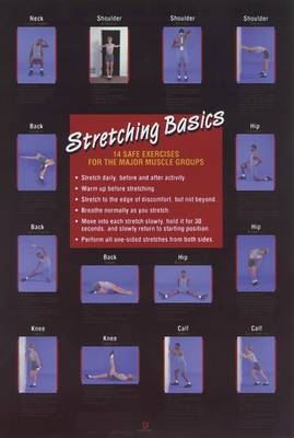 Stretching Basics Poster - Human Kinetics