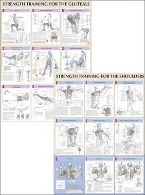 Strength Training Anatomy Poster Series