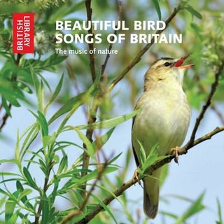 Beautiful Bird Songs of Britain