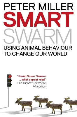 Smart Swarm - Peter Miller