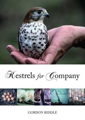Kestrels for Company - Gordon Riddle