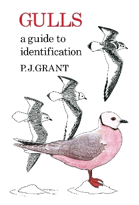 Gulls: A Guide to Identification. 2nd Edition