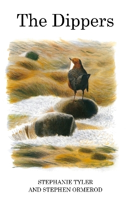 The Dippers - Stephanie Tyler