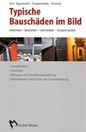 Typische Bausch&auml;den im Bild - Ralf Ertl, Martin Egenhofer, Mischael Hergenr&ouml;der, Thomas Strunck