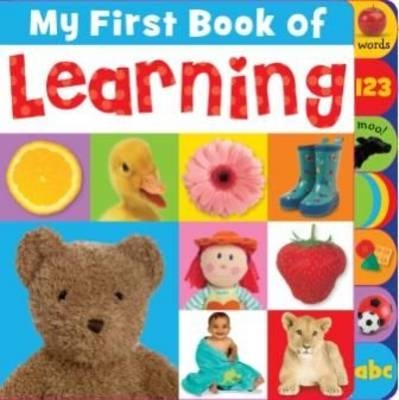 My First Book of Learning - Joanna Bicknell