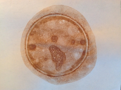 Der Zimmermann - Michael Morgenstern