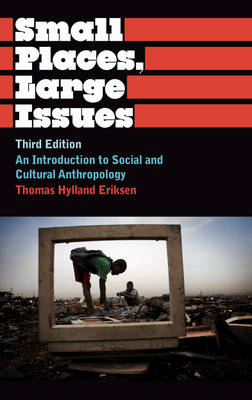 Small Places, Large Issues - Thomas Hylland Eriksen