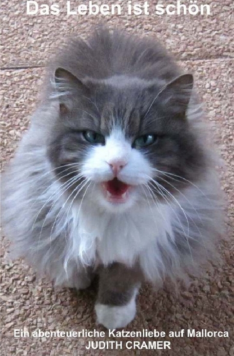 Das Leben ist sch&ouml;n: Eine abenteuerliche Katzenliebe auf Mallorca - Judith Cramer