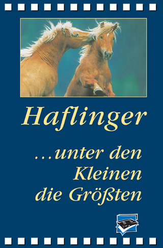 Haflinger... unter den Kleinen die Größten