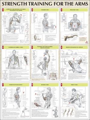 Strength Training for the Arms