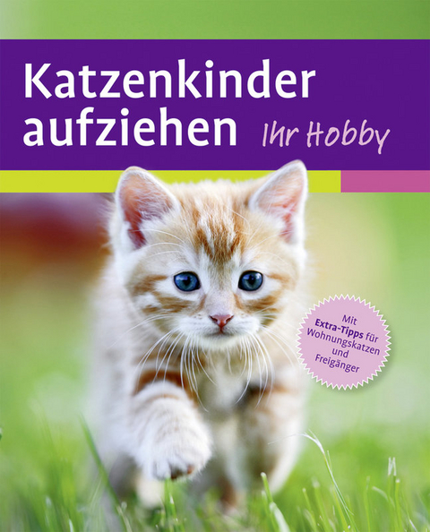 Katzenkinder aufziehen - Mark Evans