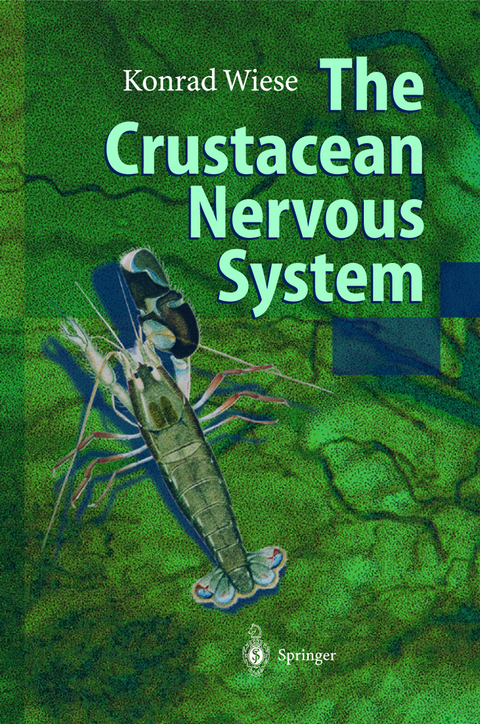 The Crustacean Nervous System - 
