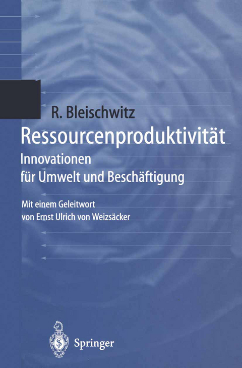 Ressourcenproduktivit&auml;t - Raimund Bleischwitz