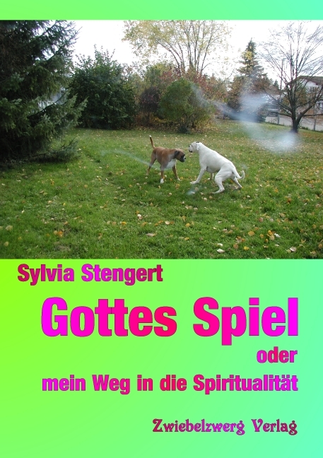 Gottes Spiel oder mein Weg in die Spiritualit&auml;t - Sylvia Stengert