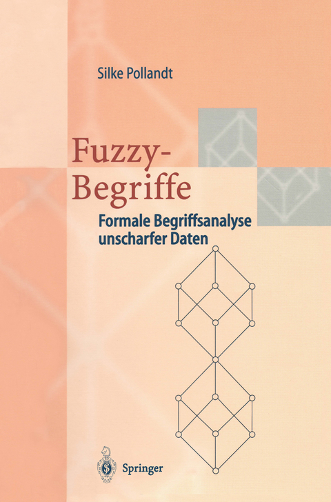 Fuzzy-Begriffe - Silke Pollandt