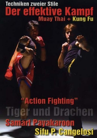 Tiger und Drachen
