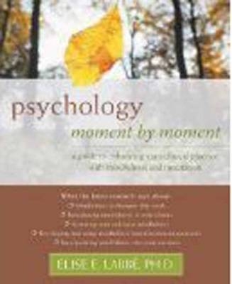 Psychology Moment by Moment - Elise E. Labbe