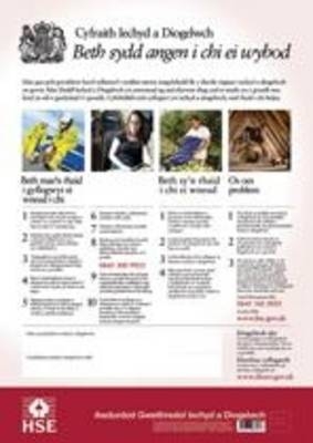 Cyfraith iechyd a diogelwch: beth sydd angen i chi ei wybod (poster): [Health and Safety law poster - Welsh version]