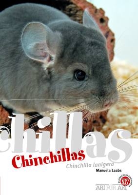 Chinchillas - Manuela Laabs