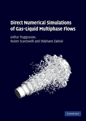 Direct Numerical Simulations of Gas&ndash;Liquid Multiphase Flows - Gr&eacute;tar Tryggvason, Ruben Scardovelli, St&eacute;phane Zaleski