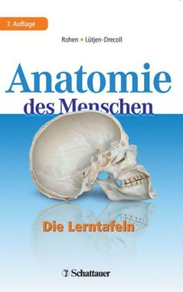 Anatomie des Menschen - Johannes W Rohen, Elke Lütjen-Drecoll