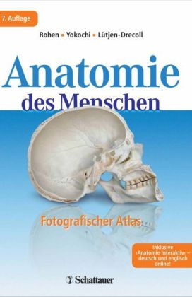 Anatomie des Menschen