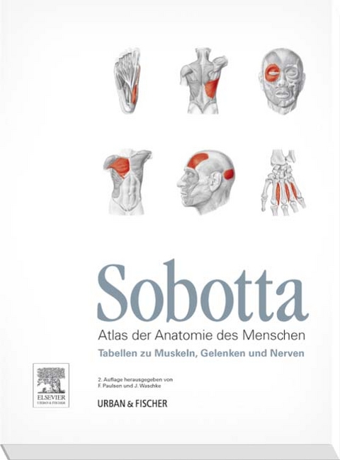 Sobotta Tabellen zu Muskeln, Gelenken und Nerven - Friedrich Paulsen, Jens Waschke