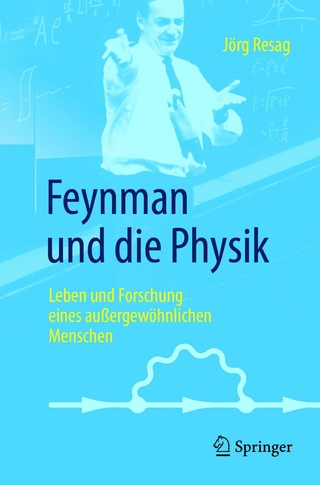 Feynman und die Physik