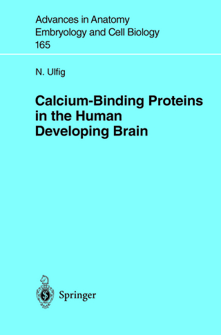Calcium-Binding Proteins in the Human Developing Brain