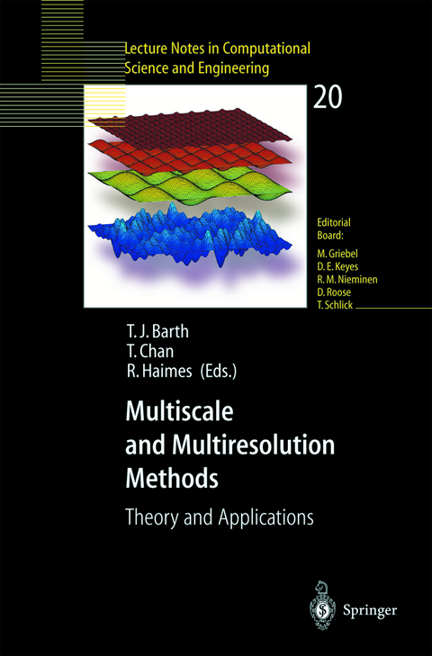Multiscale and Multiresolution Methods - 
