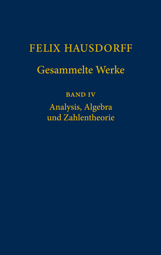 Felix Hausdorff - Gesammelte Werke Band IV