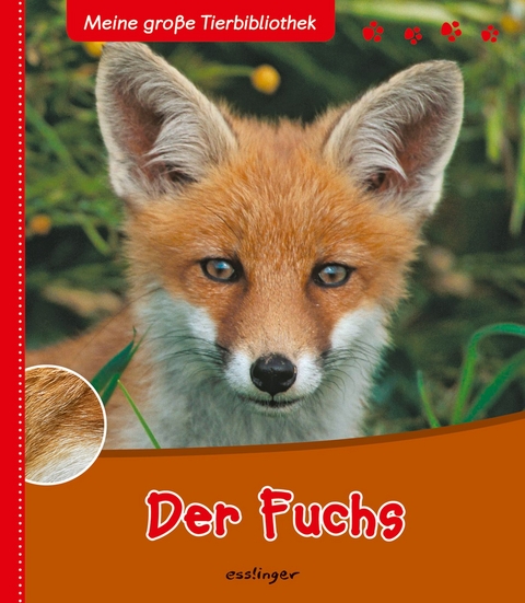 Meine gro&szlig;e Tierbibliothek: Der Fuchs - Christian Havard