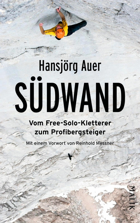 S&uuml;dwand -  Hansj&ouml;rg Auer