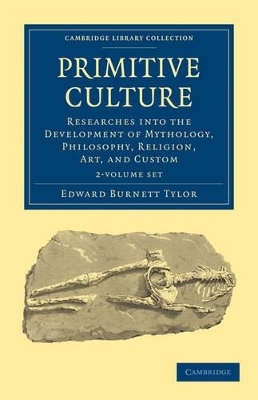 Primitive Culture 2 Volume Set - Edward Burnett Tylor