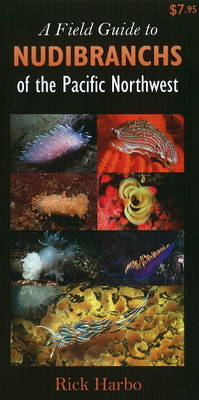 A Field Guide to Nudibranchs of the Pacific Northwest