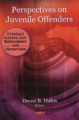 Perspectives on Juvenile Offenders - 