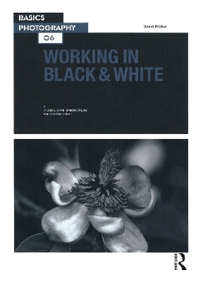 Working in Black & White - David Pr&auml;kel