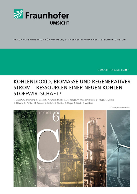 Kohlendioxid, Biomasse und regenerativer Strom - Ressourcen einer neuen Kohlenstoffwirtschaft - Thomas Marzi, G&ouml;rge Deerberg, Christian Doetsch, Anna Grev&egrave;, Markus Hiebel, Stefan Kaluza, Volker Knappertsbusch, Daniel Maga, Torsten M&uuml;ller, Hartmut Pflaum, Astrid Pohlig, Manfred Renner, Ulrich Seifert, Sebastian Stie&szlig;el, Christoph Unger, Thorsten Wack, Eckhard Weidner