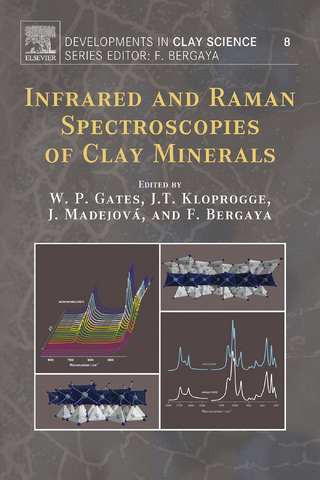 Infrared and Raman Spectroscopies of Clay Minerals