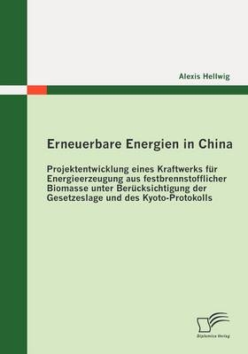 Erneuerbare Energien in China: Projektentwicklung eines Kraftwerks für Energieerzeugung aus festbrennstofflicher Biomasse unter Berücksichtigung der Gesetzeslage und des Kyoto-Protokolls