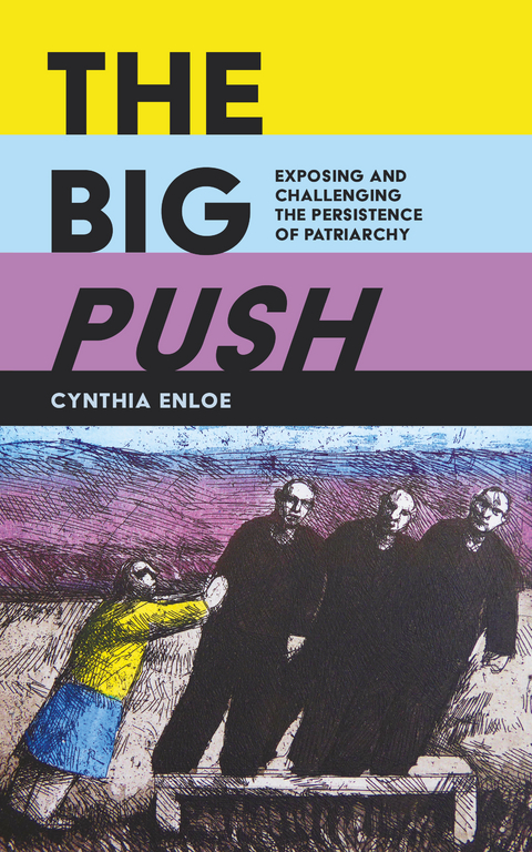 Big Push -  Cynthia Enloe