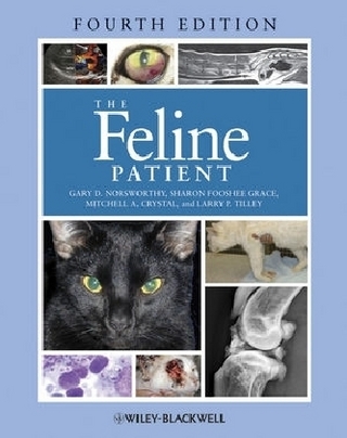 The Feline Patient