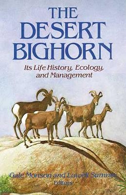 The Desert Bighorn - 