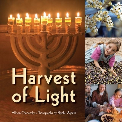 Harvest of Light -  Allison Ofanansky