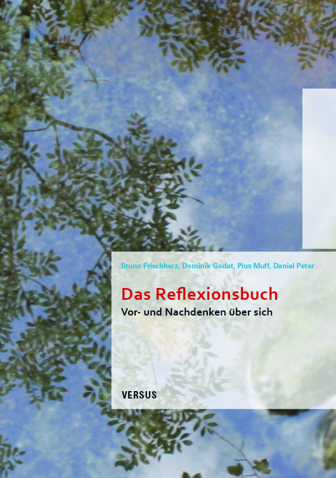Das Reflexionsbuch - Bruno Frischherz, Dominik Godat, Pius Muff, Daniel Peter