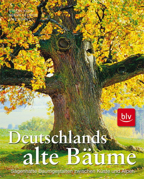 Deutschlands alte B&auml;ume - Stefan K&uuml;hn, Bernd Ullrich, Uwe K&uuml;hn