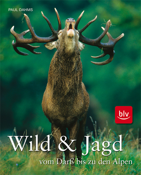 Wild und Jagd vom Dar&szlig; bis zu den Alpen - Paul Dahms