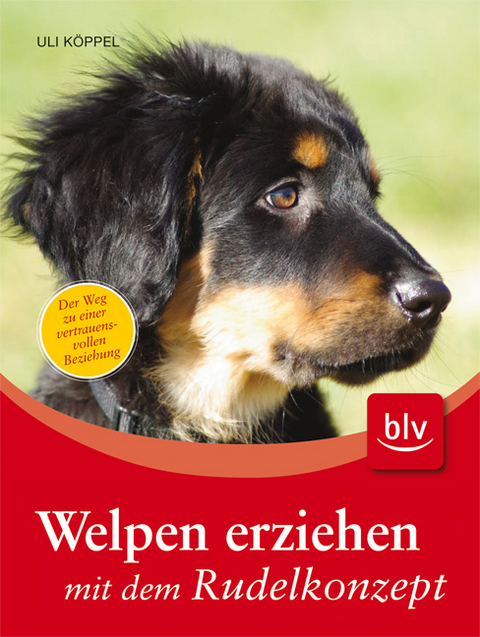 Welpen erziehen mit dem Rudelkonzept - Uli K&ouml;ppel