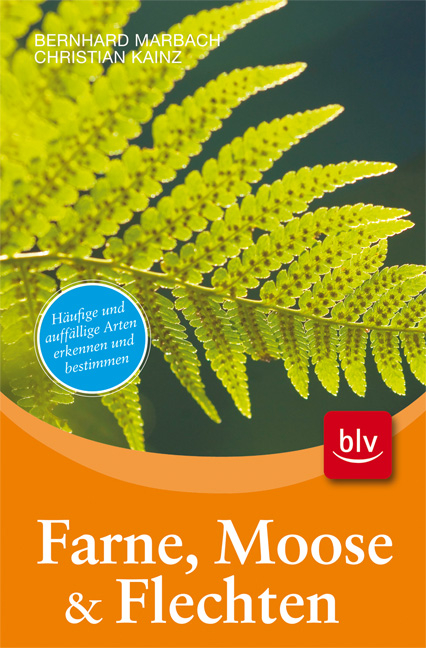 Farne, Moose & Flechten - Bernhard Marbach, Christian Kainz