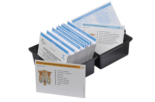 Anatomical Learning System - The Human Skeleton